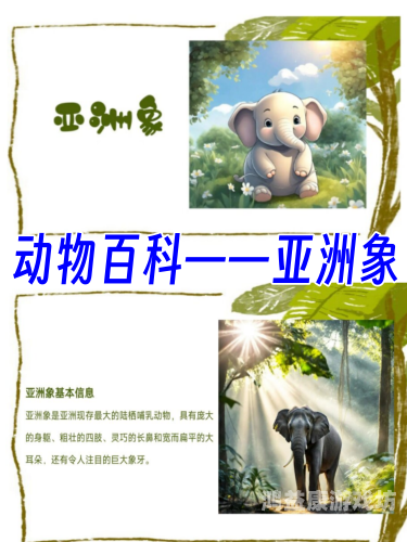 网络无界，文化共融——探索亚洲与欧美在线互动新趋势亚洲不限卡