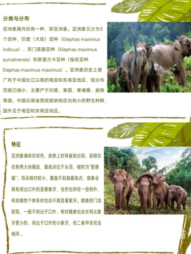 网络无界，文化共融——探索亚洲与欧美在线互动新趋势亚洲不限卡
