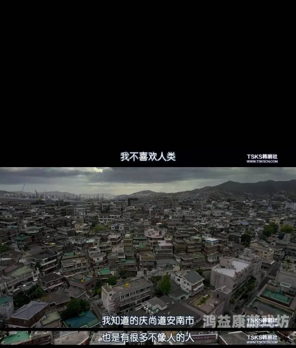 国产电影的崛起，探索18禁久久影院背后的创作与挑战