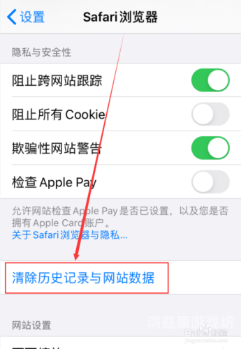 常用十大浏览器深度解析，性能、隐私与用户体验的终极对决电脑常用十大浏览器
