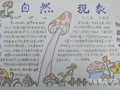 自然游戏App，探索大自然的奇妙世界自然游戏APP