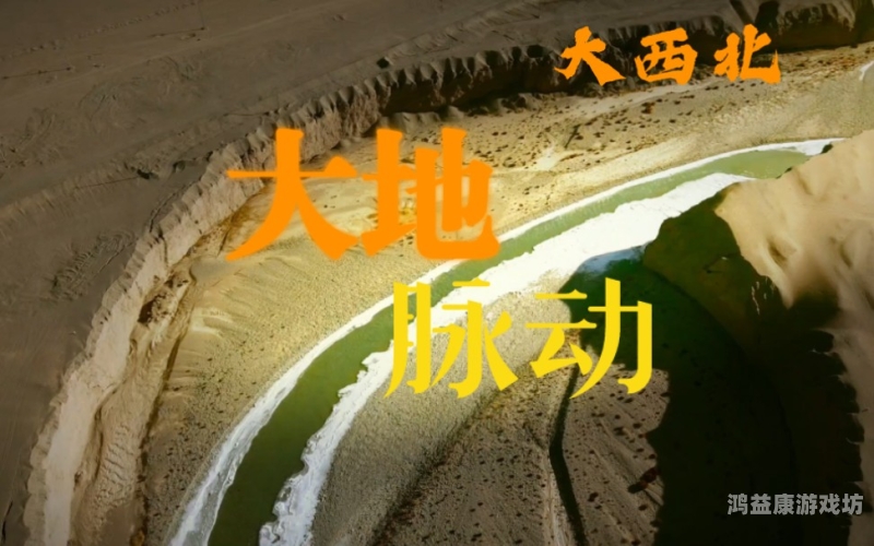 无人区高清国语完整版免费无人区，荒漠中的人性与命运较量