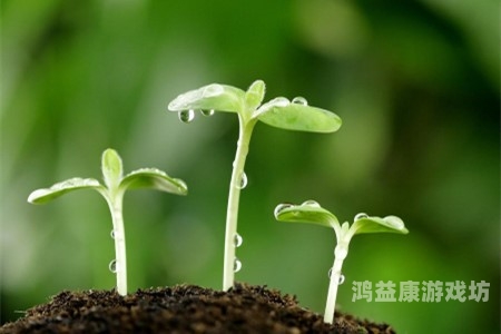 久久青草一区二区三区，探索绿色生活的新选择