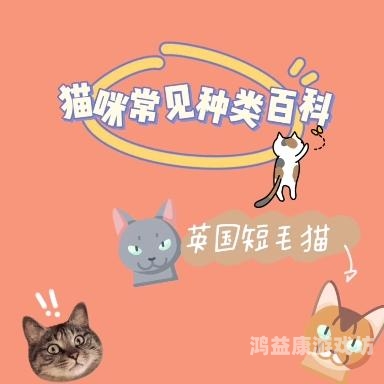资源猫资源猫，影视爱好者的宝藏平台