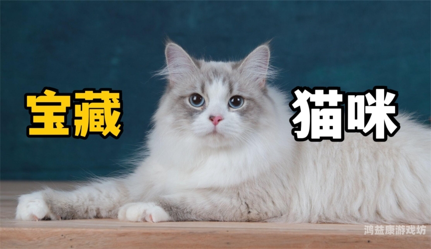 资源猫资源猫，影视爱好者的宝藏平台