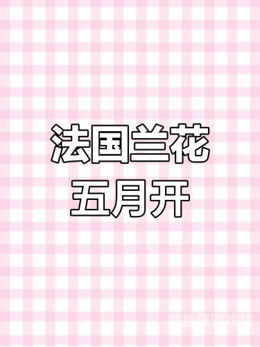 五月天色婷婷国产精品，引领国货新风尚