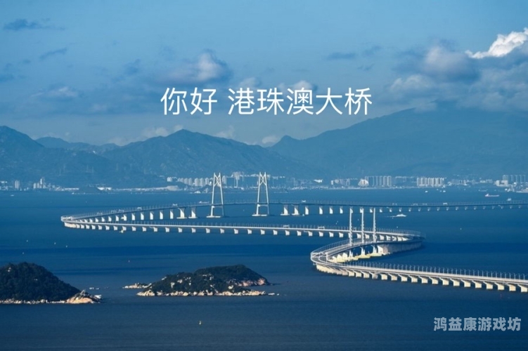 中文版中文版，跨越语言的桥梁，连接世界的纽带