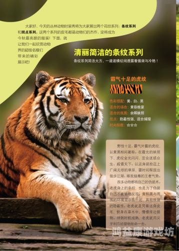 网页设计的艺术与科学，打造用户友好的在线体验网页制作