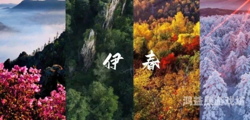 揭秘亚洲精品视频的神秘世界亚洲视频紧急自动转跳中