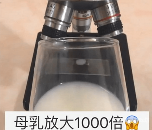 嗯啊嗯啊奶水四溅久久奶水四溅久久，新闻资讯网站角色设定