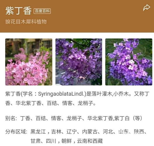狠狠噜狠狠狠狠丁香五月狠狠噜狠狠狠狠丁香五月，新闻资讯解读