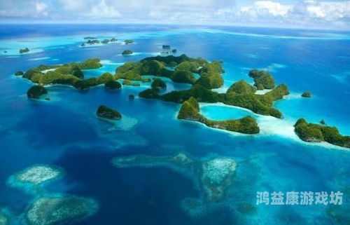 黄色岛国网站揭秘，隐藏在互联网背后的神秘世界黄色岛国网站下载