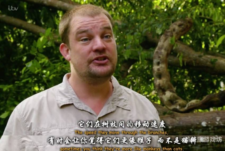 亲爱的,帮我下载免费好看的毛片和黄片,谢谢宝贝免费高清毛片与黄片推荐，让你欲罢不能的视觉盛宴