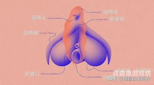 男女激情高潮瞬间，揭秘性爱中的喷涌瞬间