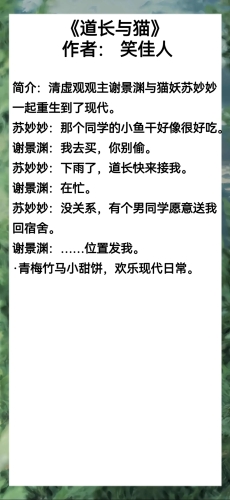 久久久久99精品成人小说久久久久99精品成人小说，探索网络文学的新篇章