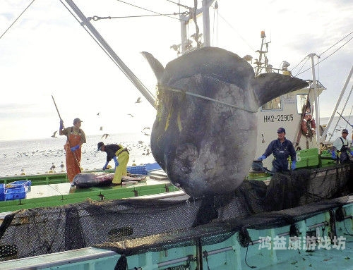 日本一区二区三区高潮喷吹日本一区二区三区新闻资讯，区域经济繁荣背后的新闻热点