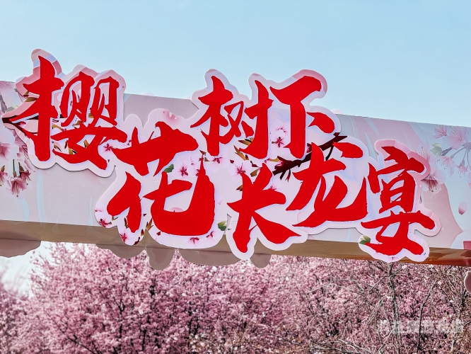 久久国产成人午夜AV影院樱花国产成人午夜AV影片盛宴，久久樱花之夜