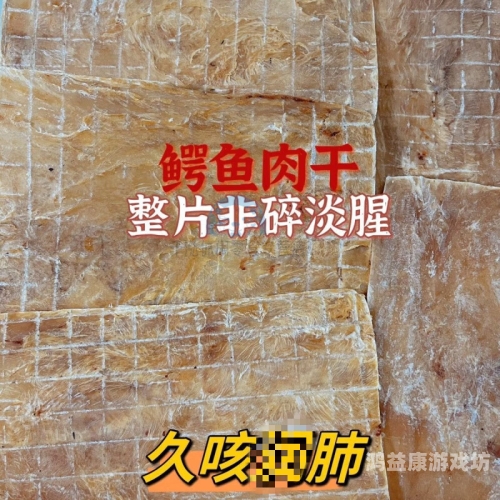 国产精品无码va久久爰网站，引领健康生活新风尚