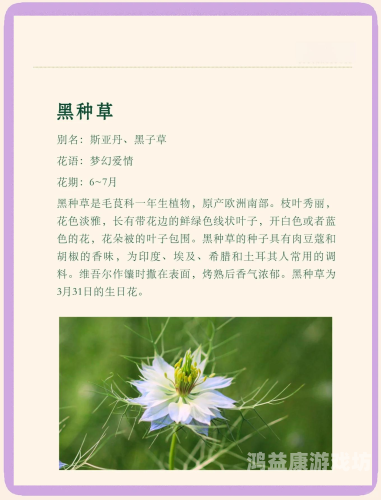 977超碰青青草，探索神秘植物的世界