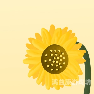 毛片视频网站角色设定向日葵在线观看免费高清电视剧