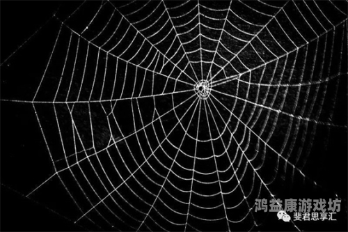 成人色吧在线，探索网络世界的神秘角落